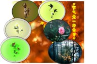 孙晓红老师主讲青春期女生课堂